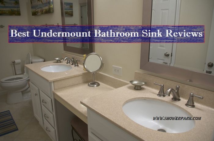 Best Undermount Bathroom Sink Reviews