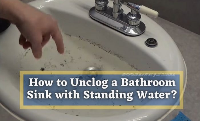How to Unclog a Bathroom Sink with Standing Water